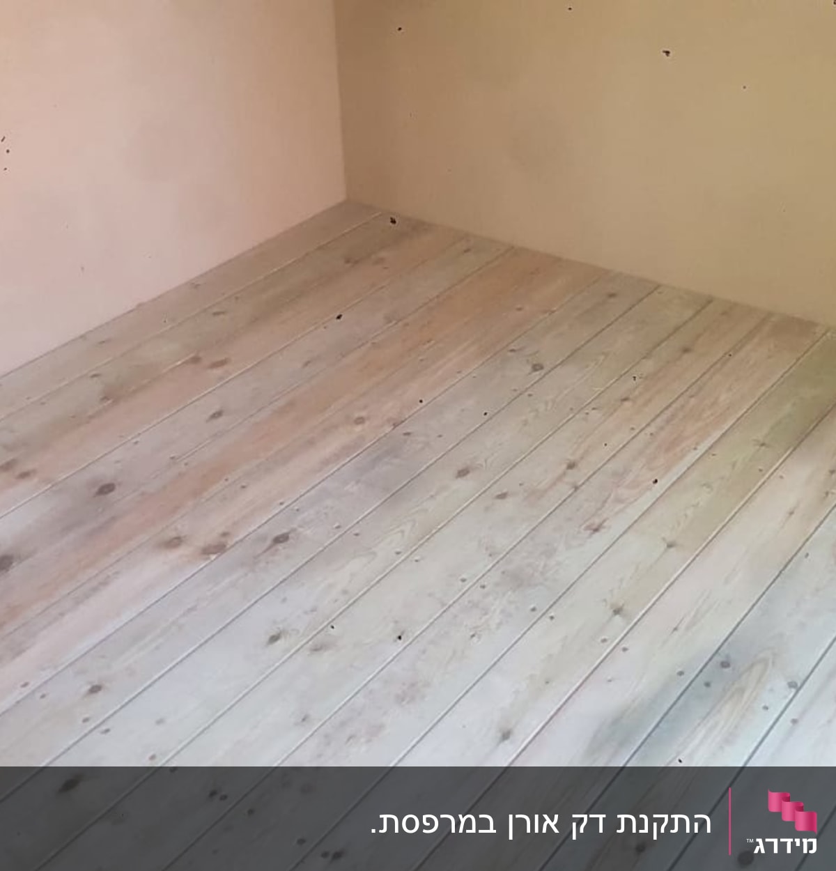 רצפת עץ עם עלים ירוקים בפינה